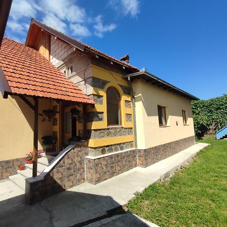 Curtea de Argeş Central House酒店 外观 照片